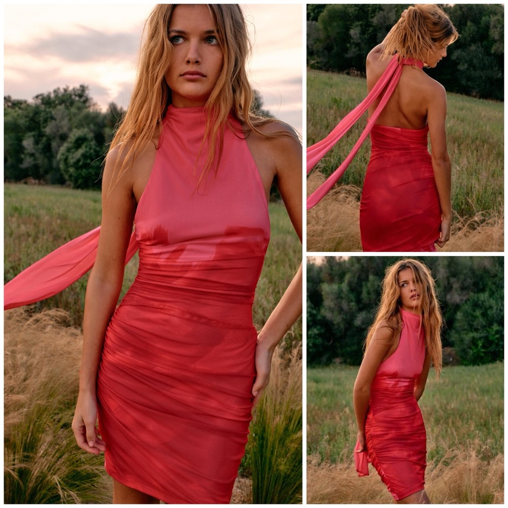 ZARA ~ Zara printed tulle dress